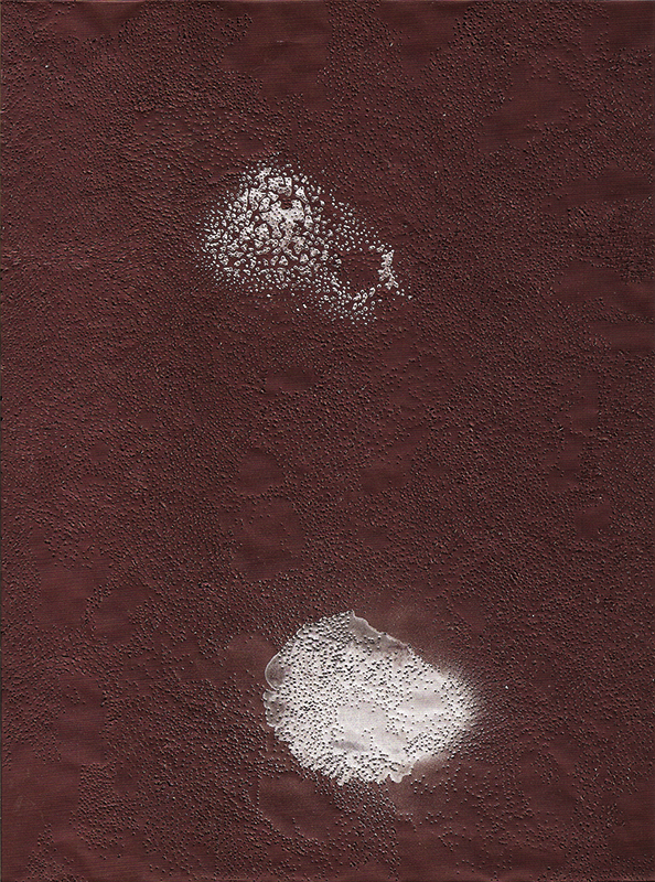 Antrax spirit Carbon, 2014, 30x20cm, peinture, impacts, papier carbone