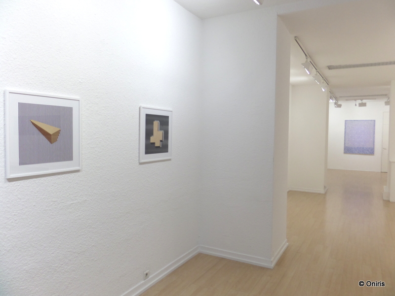 Galerie Oniris ●  expo Invitation #1 ● avec Olivier Petiteau ● Marine Provost ● Carole Rivalin0